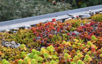 the cost of Caer Farchell green roof installation