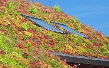 Caer Farchell living roof systems